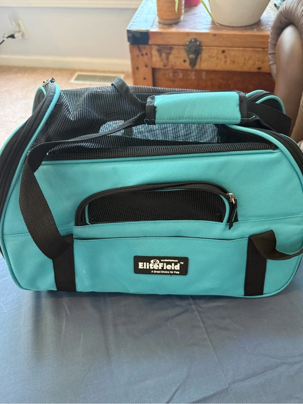Teal Pet Carrier Bag